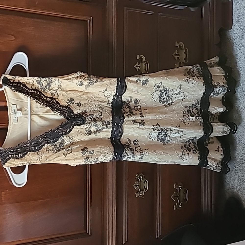 Francesca's XS Gold/Black Lace Dress
